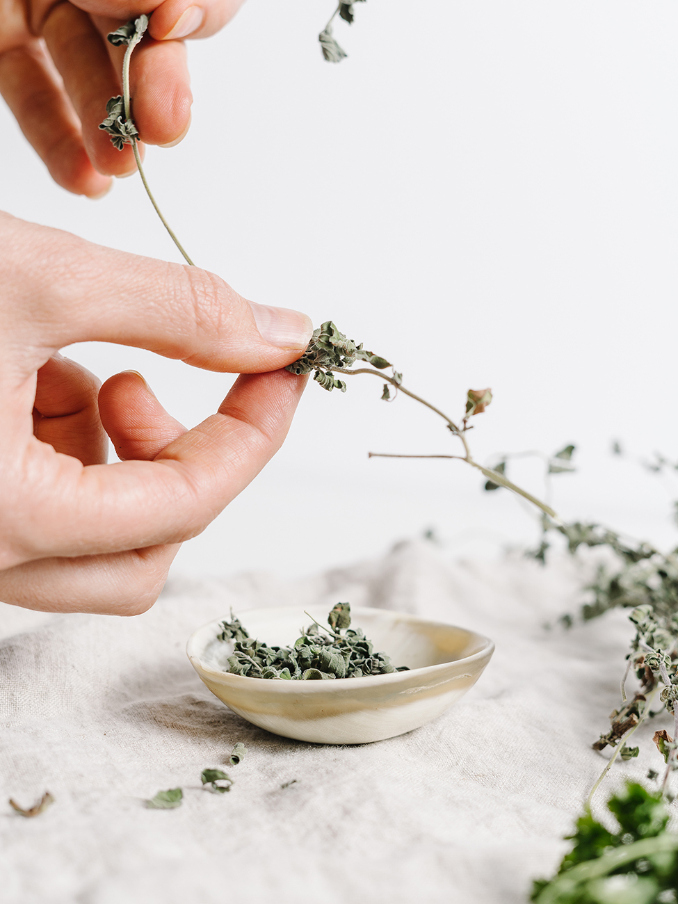 How to Dry Fresh Garden Herbs