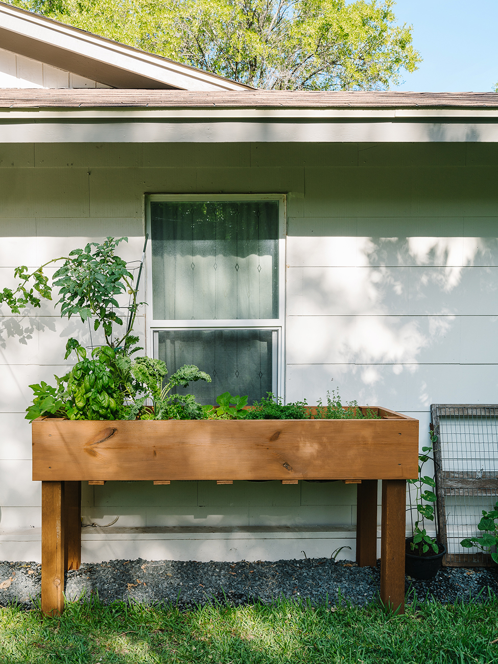 Make Your Own Dried Herbs — Simple Ecology