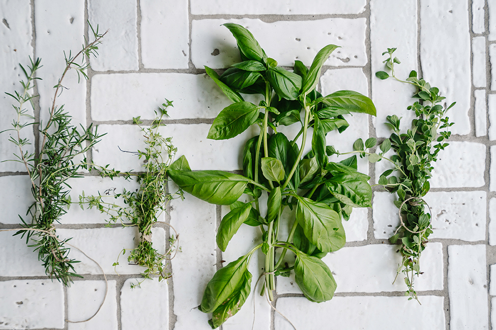 How to Dry Herbs